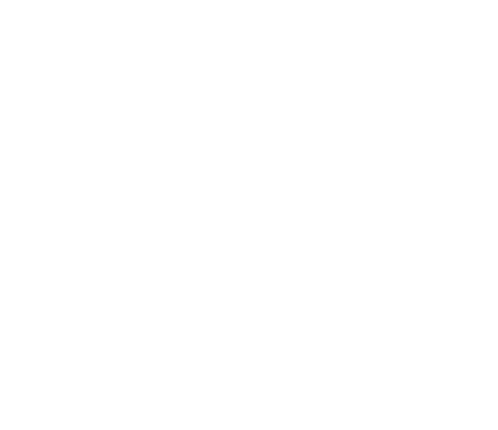higgins beach logo