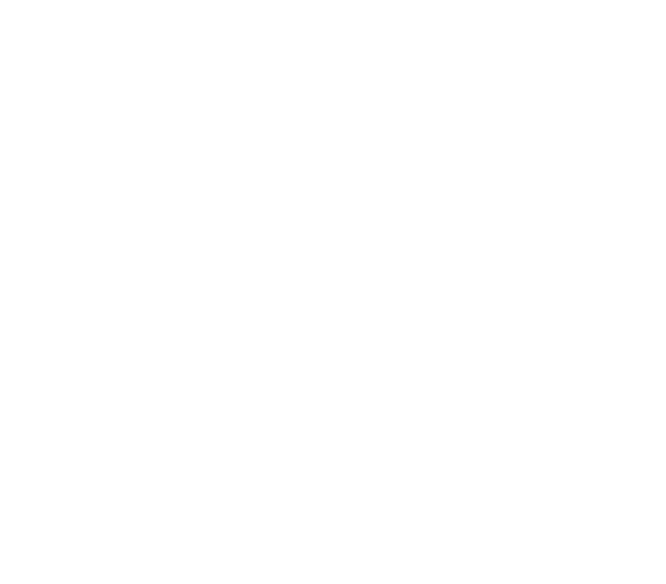 higgins beach inn logo